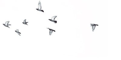 ForMeAndU_'s profile banner image