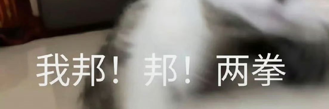 lpfengpi's profile banner image