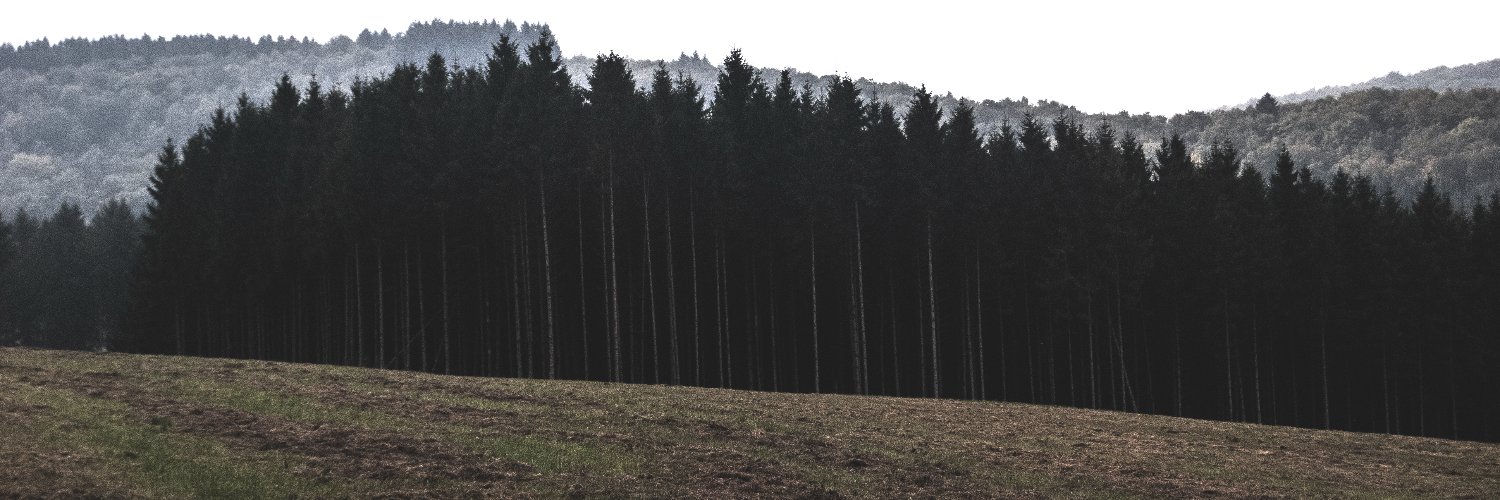 shanohshay's profile banner image