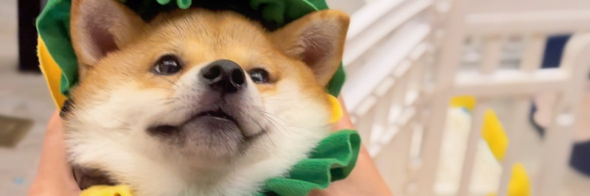 Mario233333's profile banner image