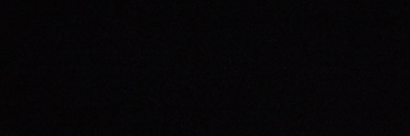 dasha banner