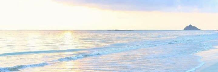 fatimaarquez's profile banner image