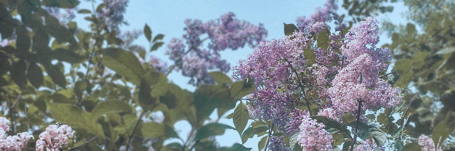 ulyanamoris's profile banner image