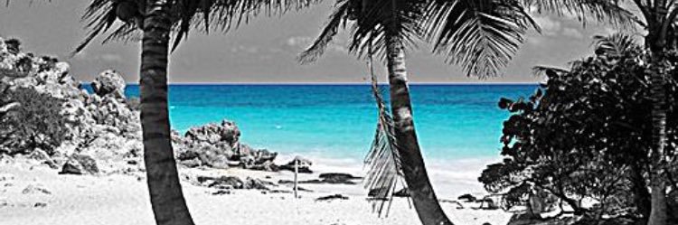 Milka banner