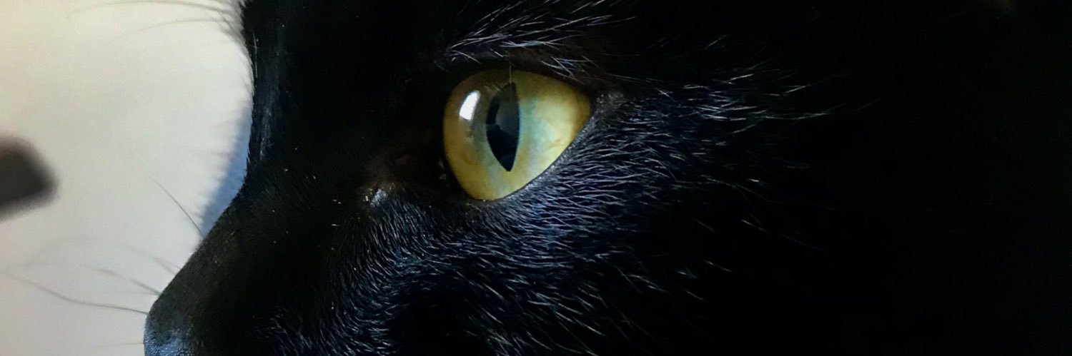 emcgtt's profile banner image