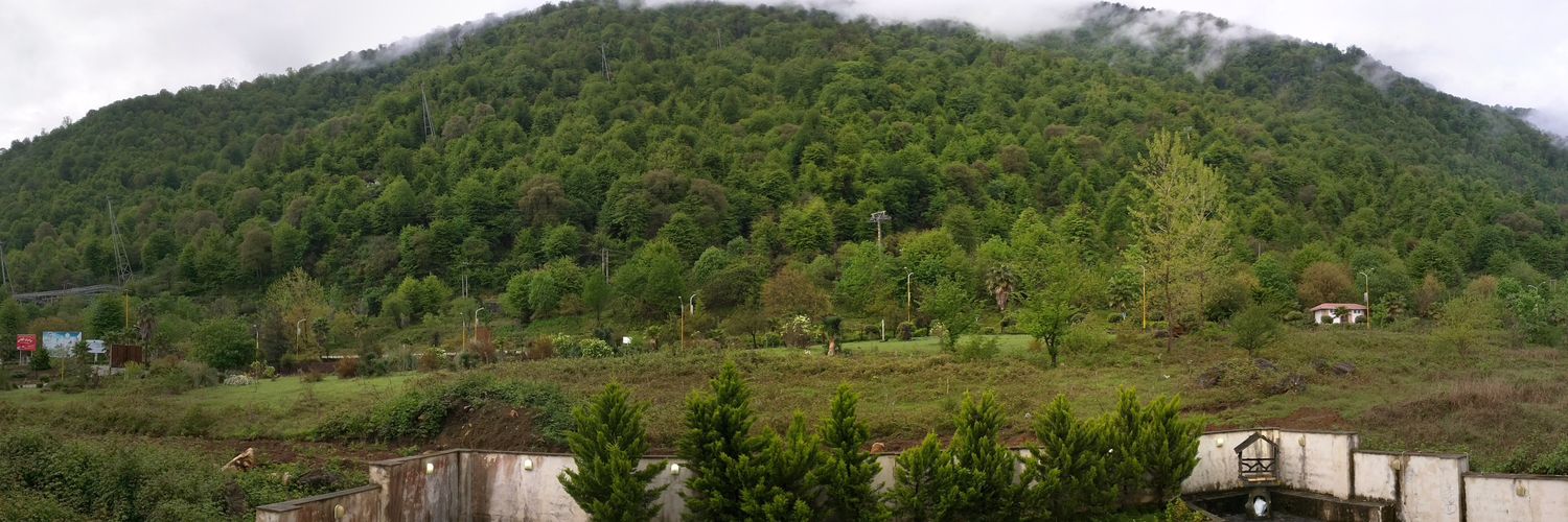 pooriav's profile banner image