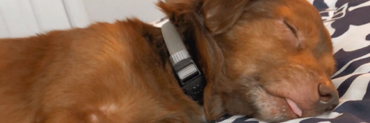 ConnorBrendan's profile banner image