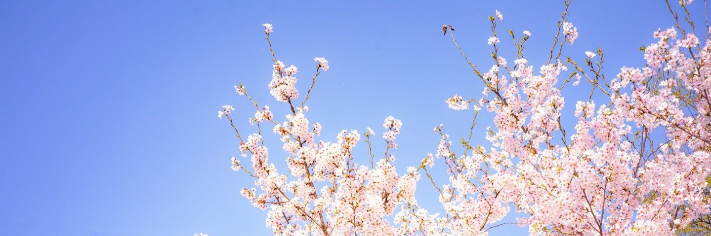 ㅍㄹ ♡ ̆̈ banner