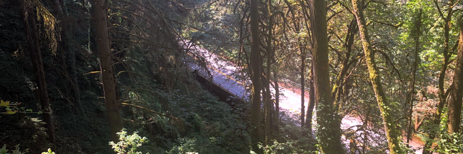 Joel McDonald banner