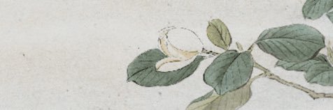 smallgreyfish's profile banner image