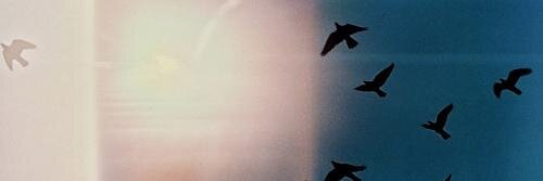 prosandCONSS's profile banner image