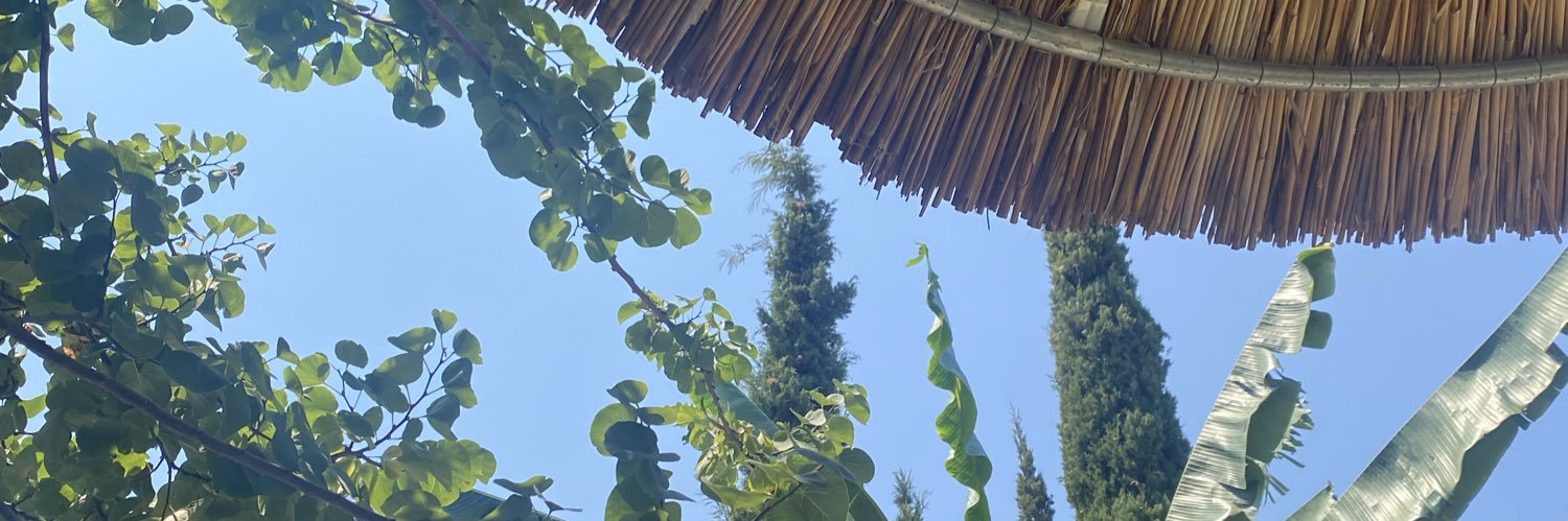 Bntlaura's profile banner image