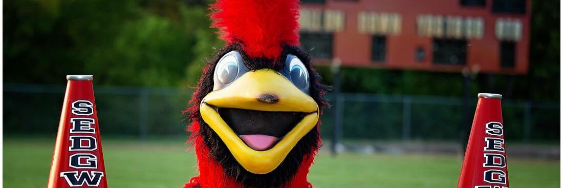 cardinalbackers's profile banner image