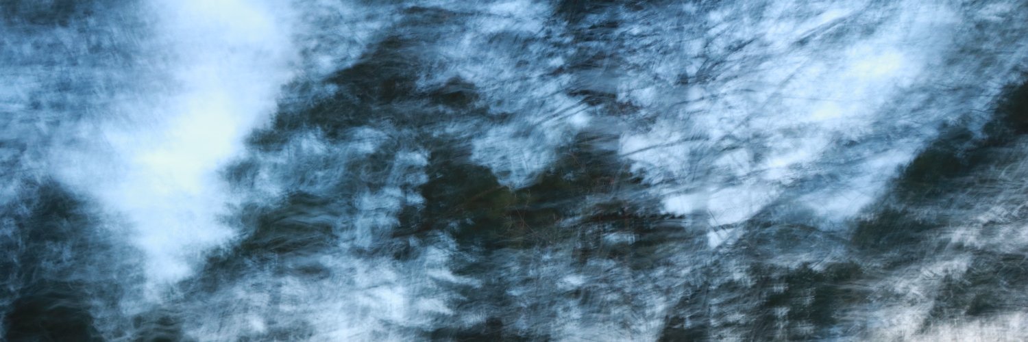 RoseEgelhoff's profile banner image