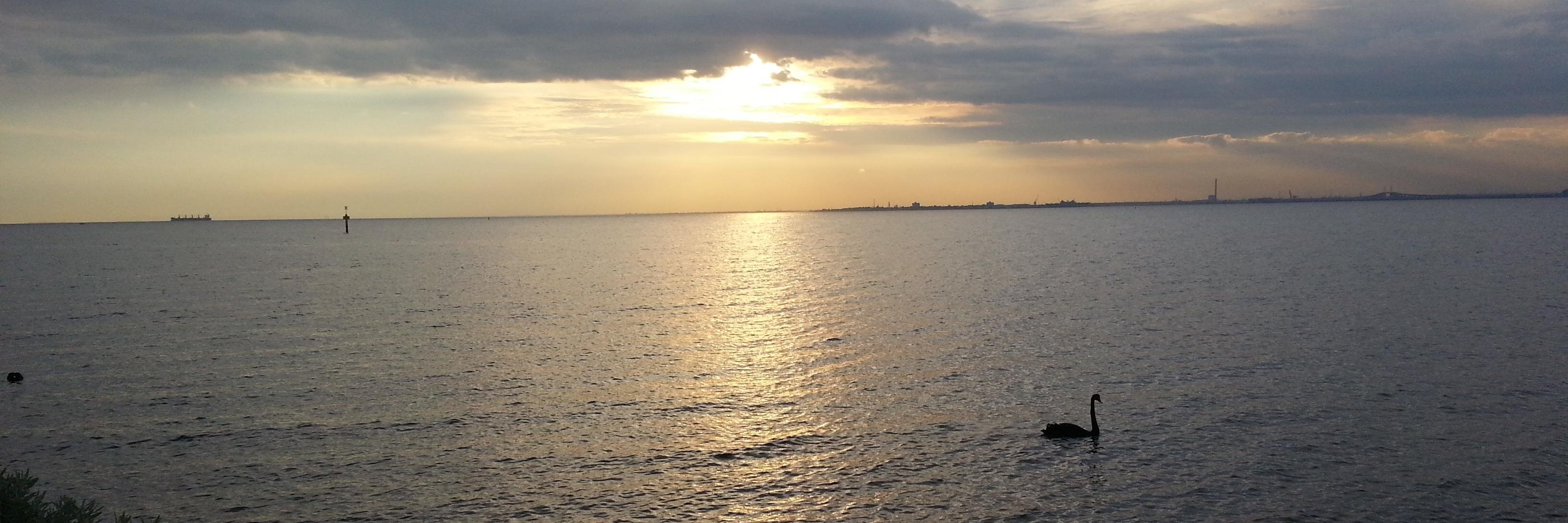 ecoclues's profile banner image
