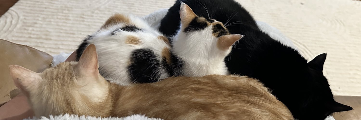 ruthmarietea's profile banner image