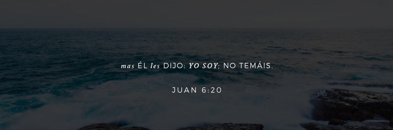Elizabeth Pacheco banner