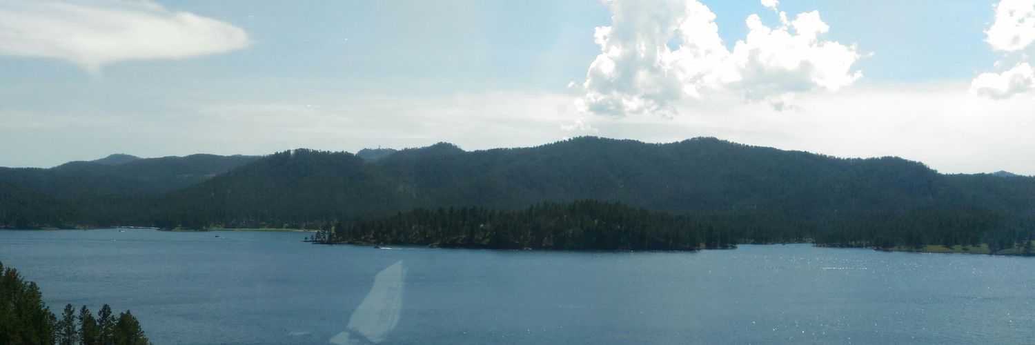 this guy (he gets it) banner