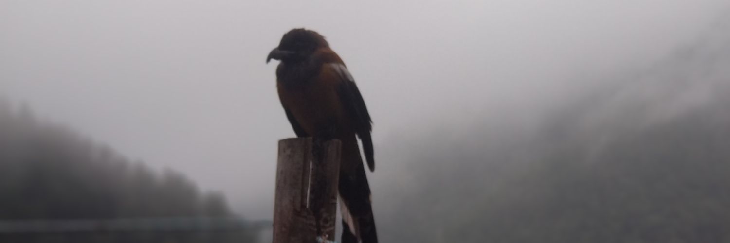 im_aago's profile banner image