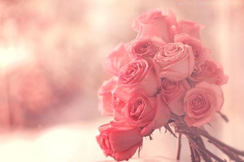 amelnuralam's profile banner image
