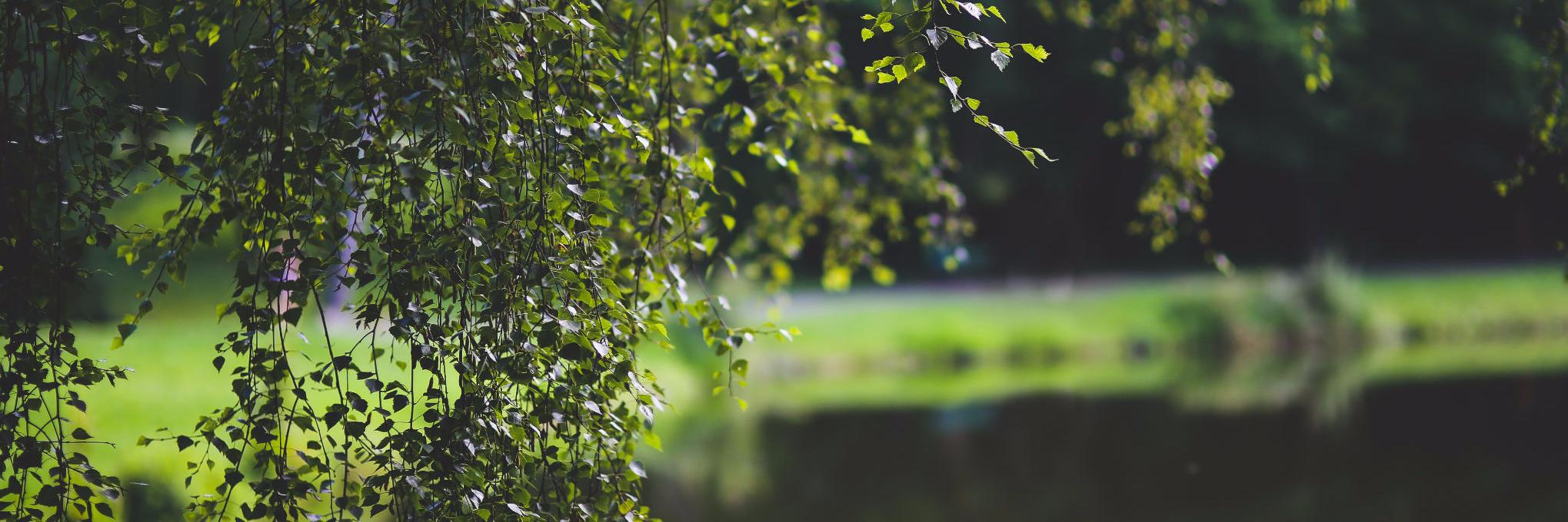 HealthFitnessWL's profile banner image