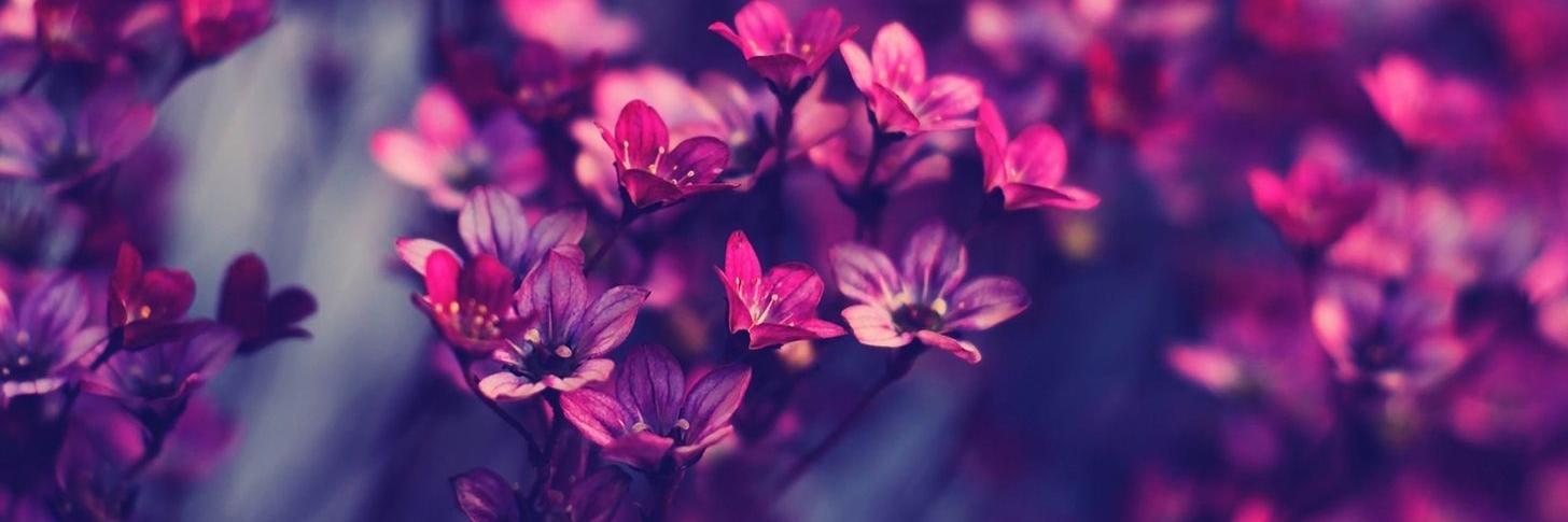 janeyO_88's profile banner image