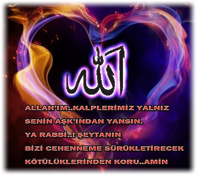 ｡✿*ﾟ‘SILAﾟ･✿.EVET banner
