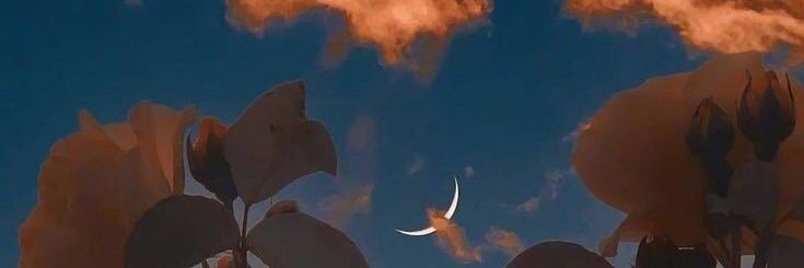 afnirz's profile banner image