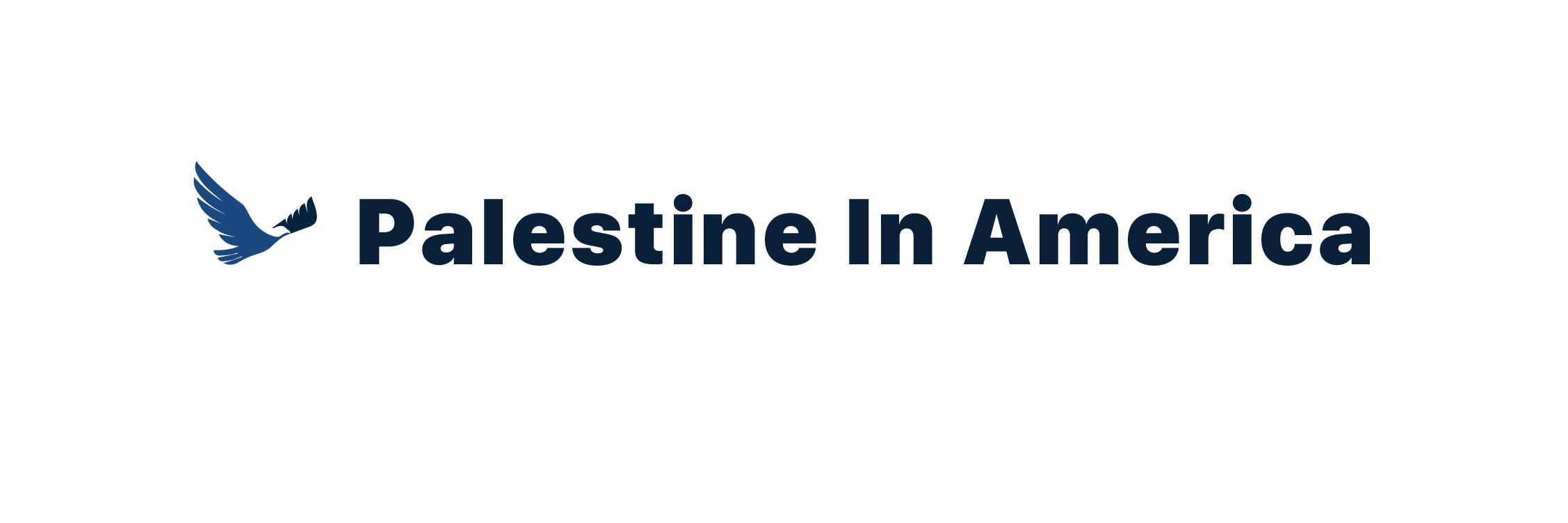 Palestine in America banner