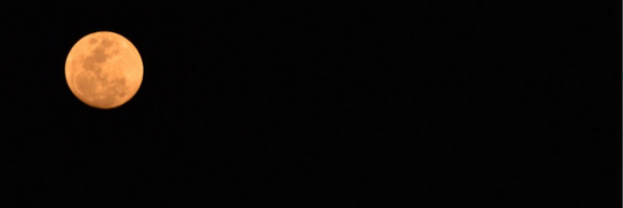 TulsiPatro's profile banner image