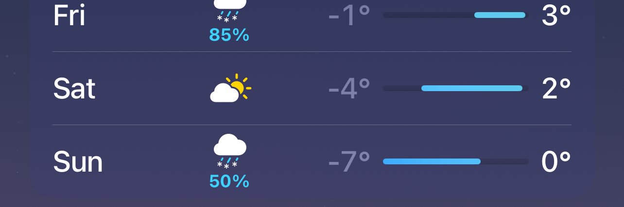 Its Christmasssssss + 17 weeks banner