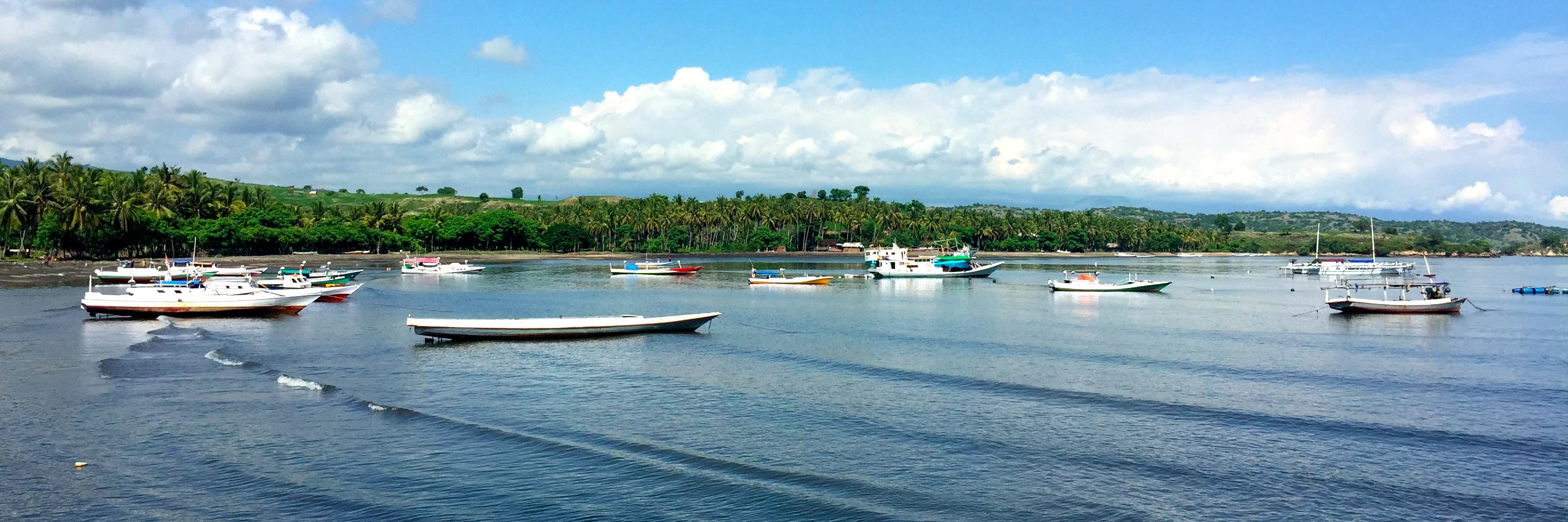 Pelagic Data Systems banner