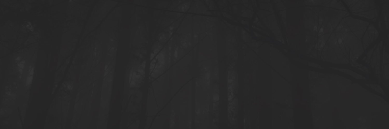Stoise's profile banner image