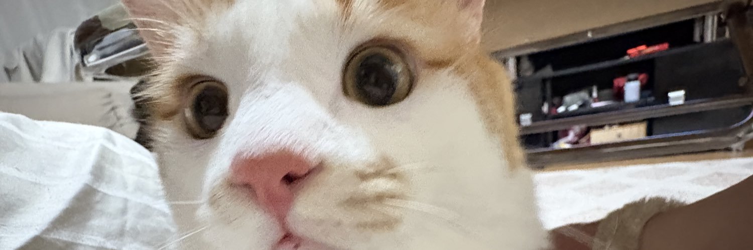 yetoveto's profile banner image