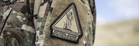 Connecticut Army National Guard banner