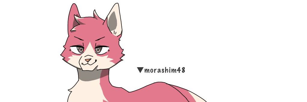 morashim1011's profile banner image