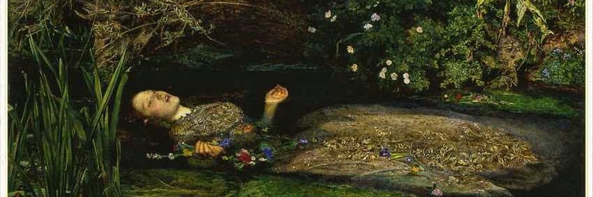 星陵(ホシオカ)ゾエル banner