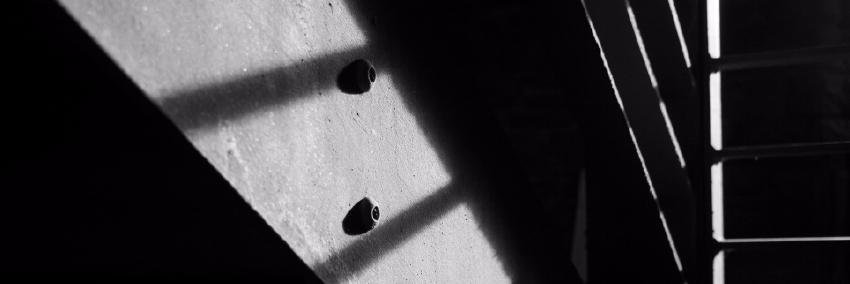 THORNAPPLE_'s profile banner image