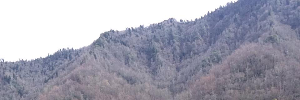 lilfeeder's profile banner image