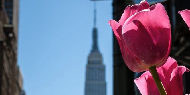KelsyeRae's profile banner image