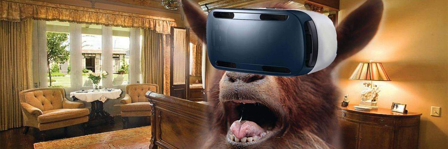 AMoistTortoise's profile banner image