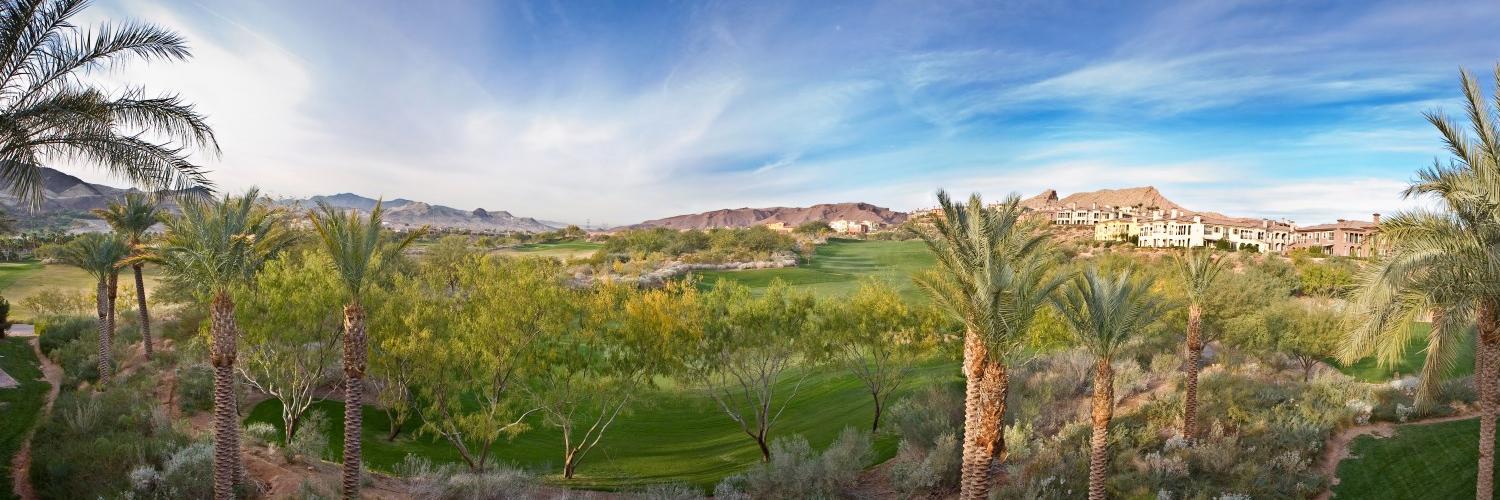 LocalHenderson's profile banner image