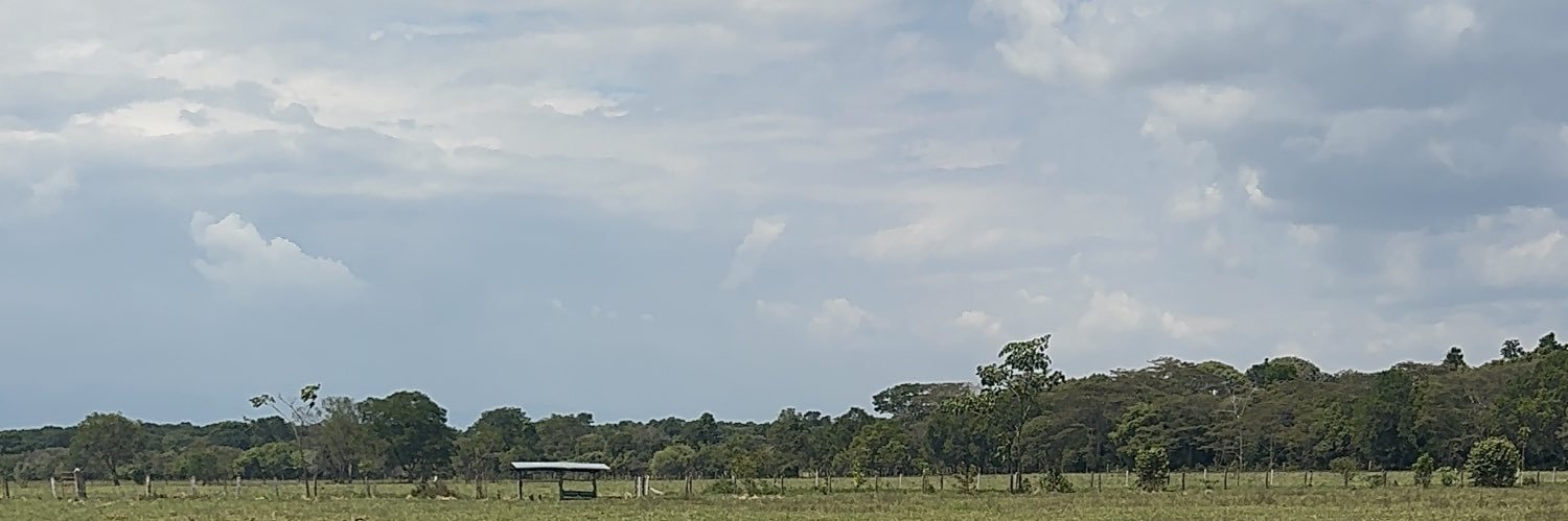 Anonimonxtw's profile banner image