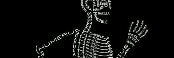 mattfearnhead11 Profile Banner