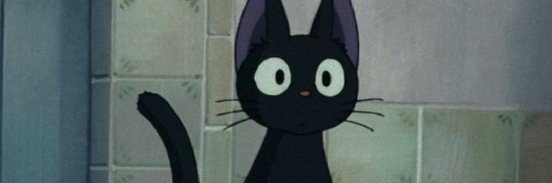 chanfoxx's profile banner image