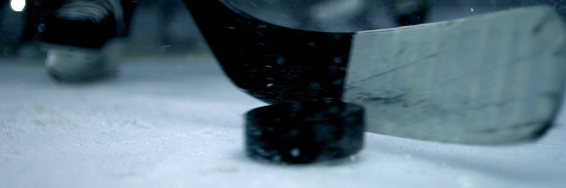 bowiepuck's profile banner image