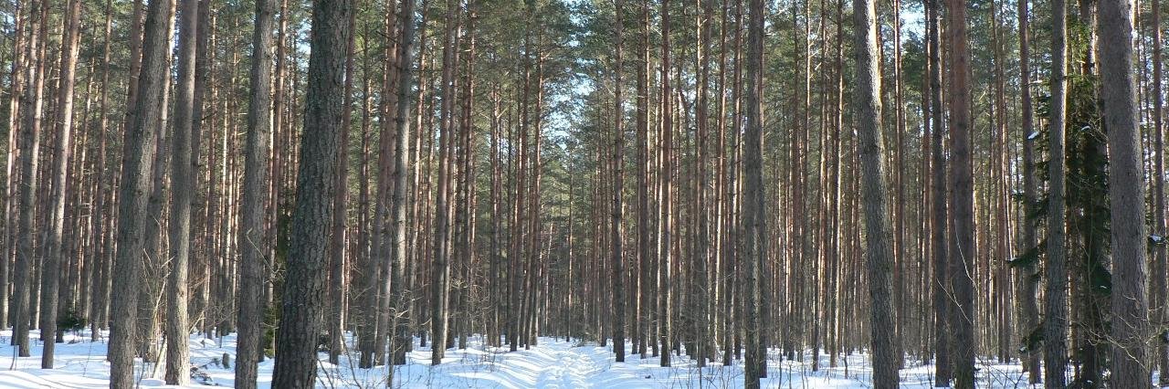 Hm. Jānis Bērziņš🇱🇻🇺🇦🇵🇱🦈 banner