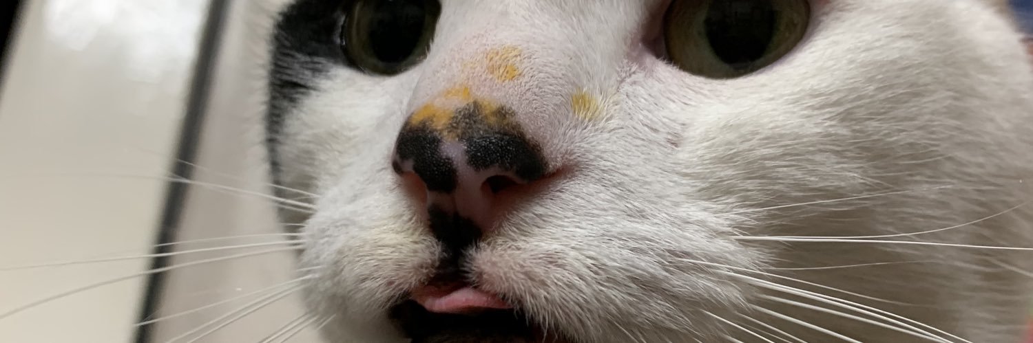 KT_Titch's profile banner image