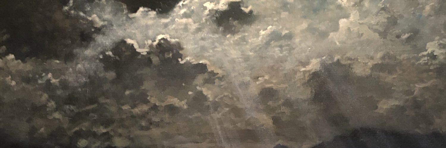 ZoeLevin11's profile banner image