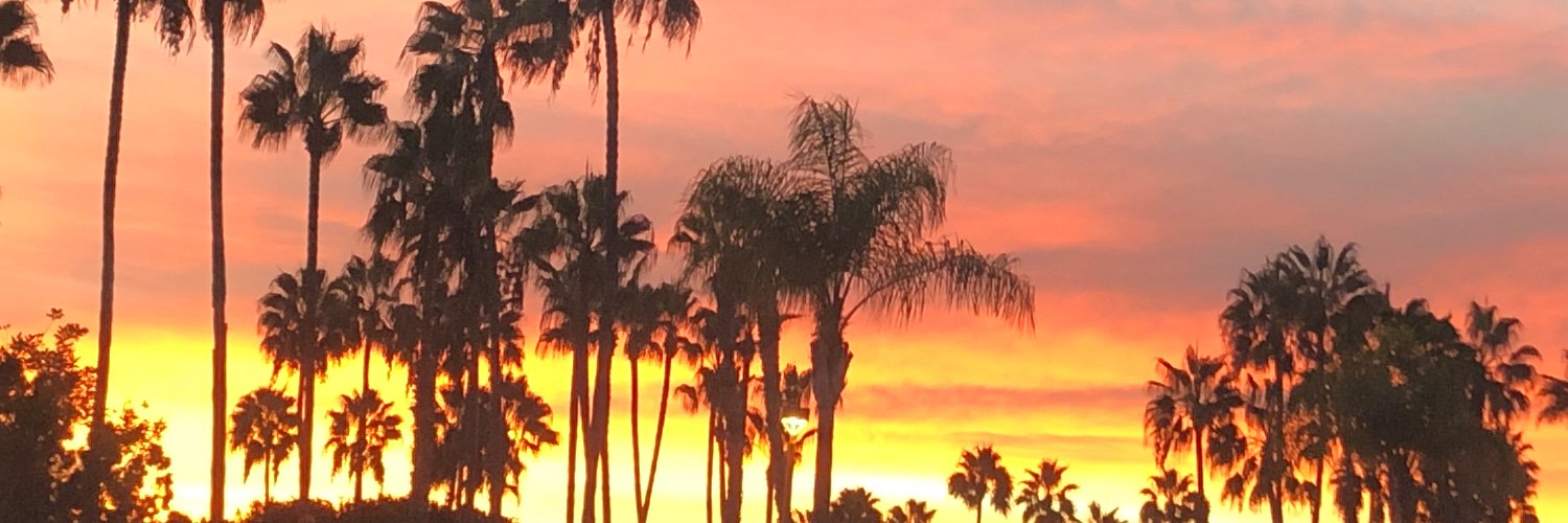 Raphael F Ribeiro banner